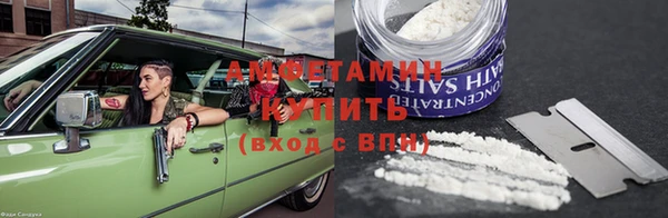 прущие грибы Баксан