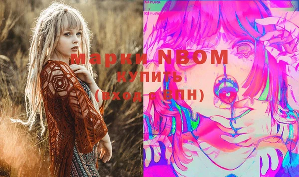 прущие грибы Баксан
