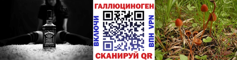 Галлюциногенные грибы ЛСД  Сясьстрой 
